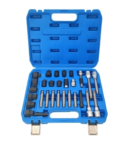 Set chei fulie alternator 30 piese